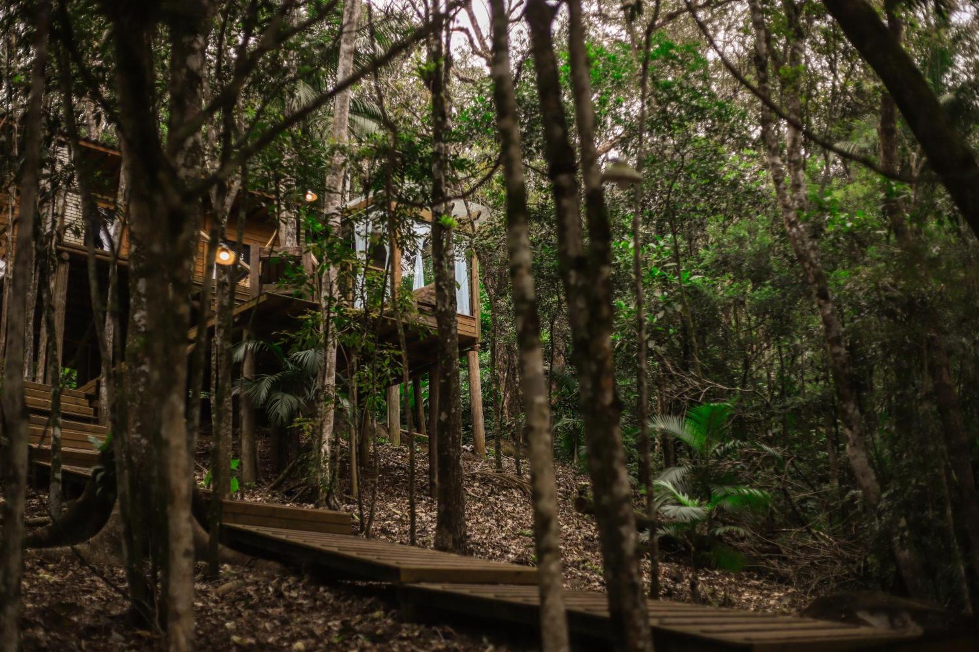 Chale Da Arvore, Vivenda Serra Velha, Chales De Montanha Timbe do Sul Exterior photo